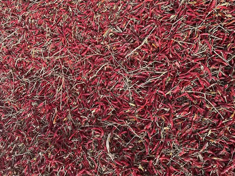 091335_005347_jswz.jpg 091335_005347_jswz.jpg