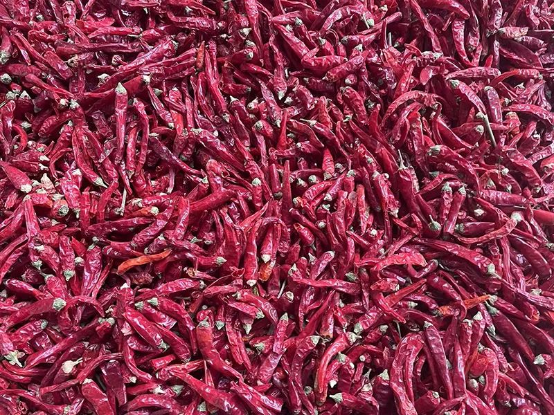 091407_981752_jswz.jpg 091407_981752_jswz.jpg