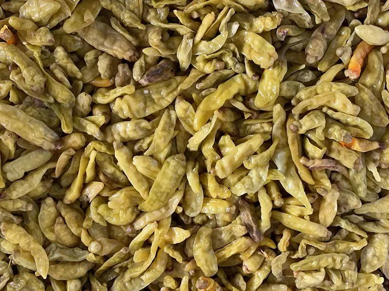 091555_366910_jswz.jpg 091555_366910_jswz.jpg