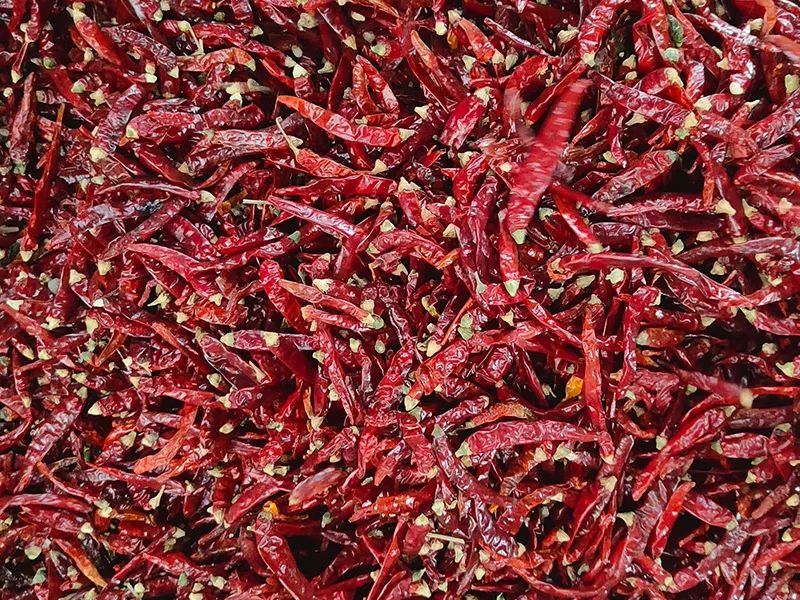 091712_185891_jswz.jpg 091712_185891_jswz.jpg