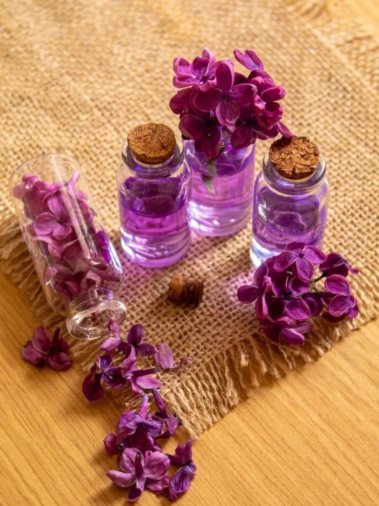 131849_253318_gsdt.jpg 2.jpg