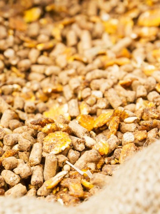 155448_636305_gsdt.jpg 2.jpg