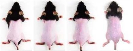 092013_983437_jswz.png 微信圖片_20240416091607.png