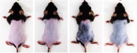 092028_912008_jswz.png 微信圖片_20240416091610.png