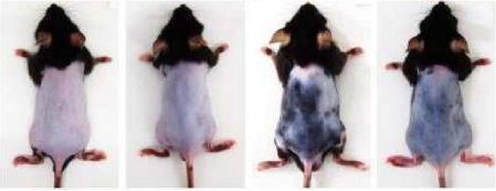 092036_023707_jswz.png 微信圖片_20240416091612.png