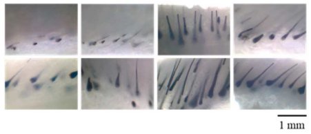 092112_430331_jswz.png 微信圖片_20240416091614.png