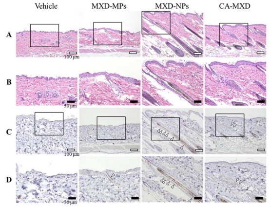 092154_521804_jswz.png 092154_521804_jswz.png