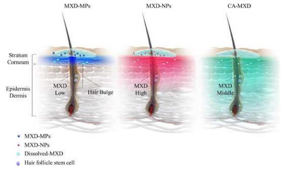 092215_429943_jswz.png 092215_429943_jswz.png