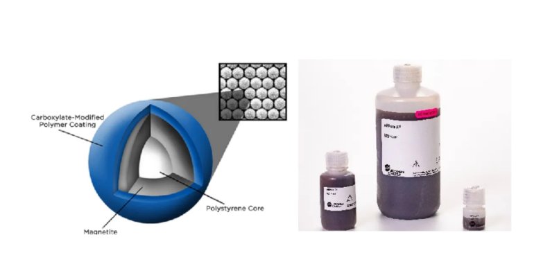 153027_513208_gsdt.png 1.png