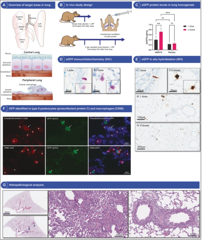 104632_502399_gsdt.png 3.png