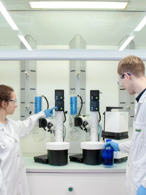 102039_822404_gsdt.jpg 2.jpg