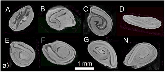 111642_355538_jswz.png 微信圖片_20240513111224.png