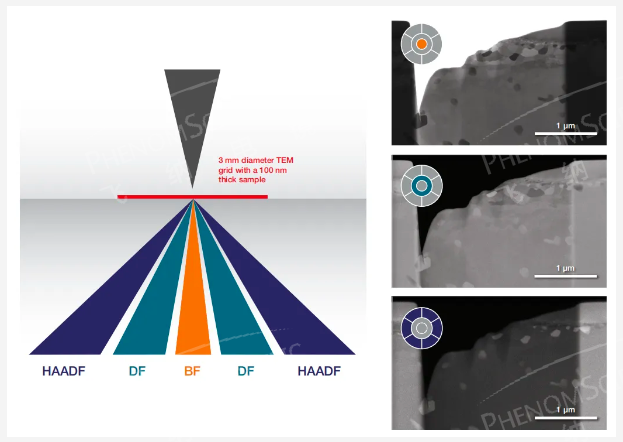 明場(BF)、暗場(DF)和高角度環(huán)形暗場(HAADF)成像示意圖和成像對比圖