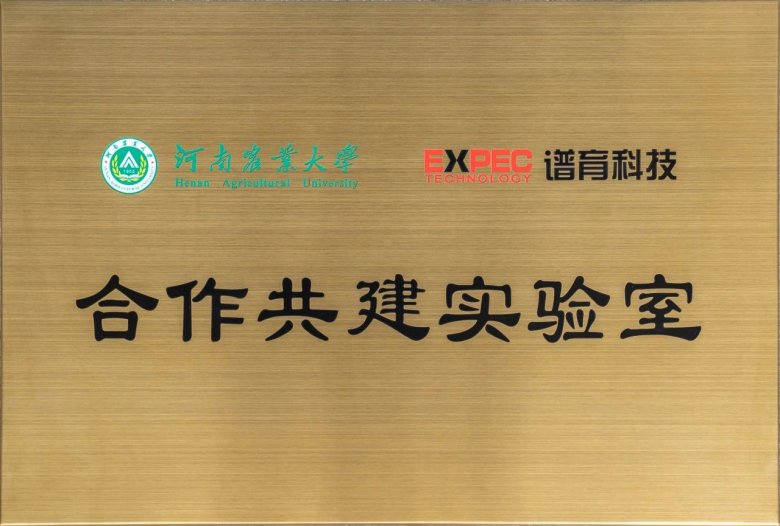 102742_741541_gsdt.jpg 102742_741541_gsdt.jpg