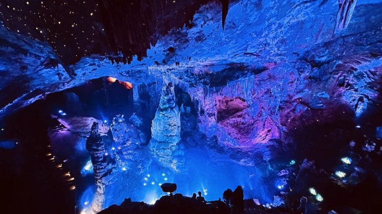 090206_584958_gsdt.jpg 090206_584958_gsdt.jpg