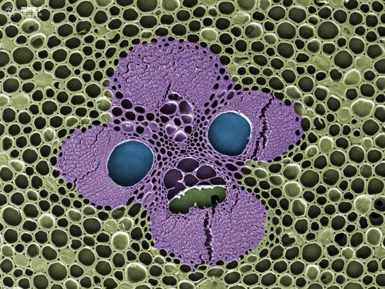 130734_477853_gsdt.png 130734_477853_gsdt.png