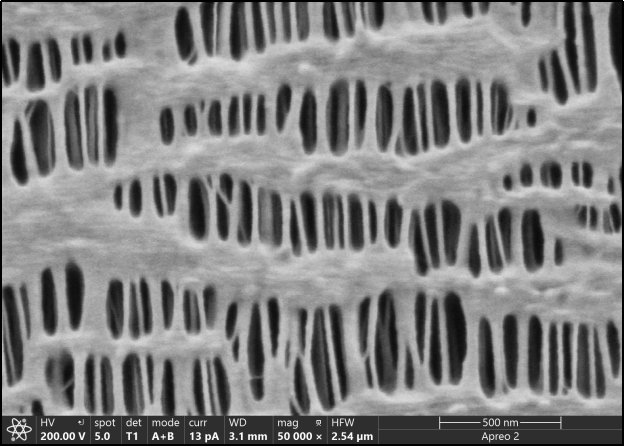 143425_082764_jswz.png 640 (1).png