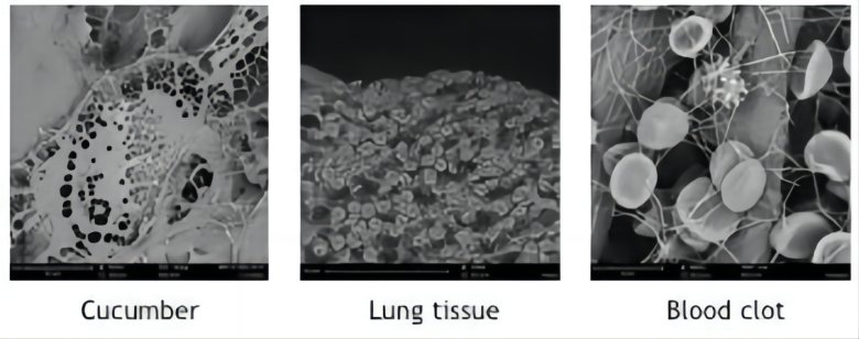 143058_692898_jswz.png 2(1)(1).png