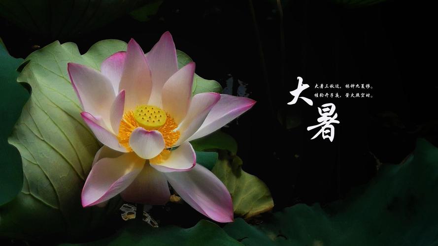 102217_902739_jswz.jpeg 大暑節氣,是夏季的最后一個節氣.jpeg