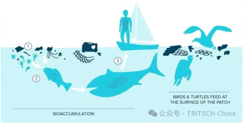 143717_121692_jswz.png 143717_121692_jswz.png