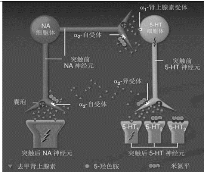 100846_579028_jswz.png 100846_579028_jswz.png