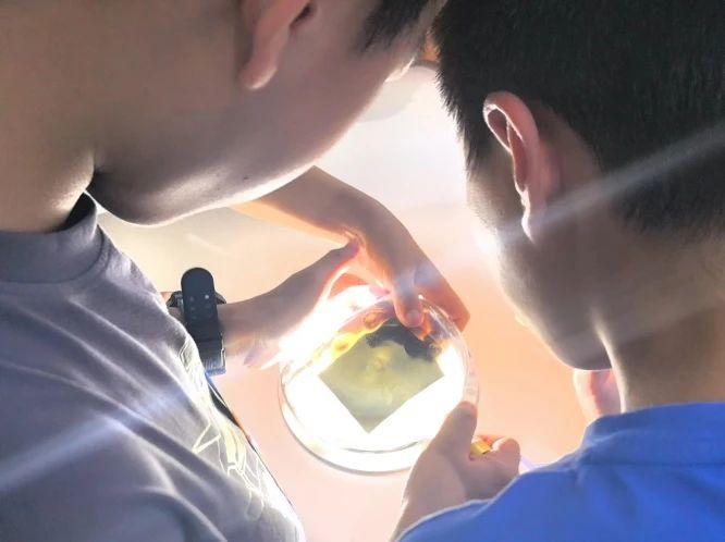 162744_464377_gsdt.jpg 162744_464377_gsdt.jpg