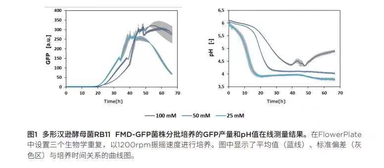 091151_338370_jswz.jpg 091151_338370_jswz.jpg