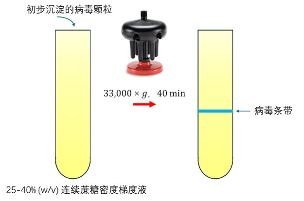 091821_244766_jswz.png 091821_244766_jswz.png