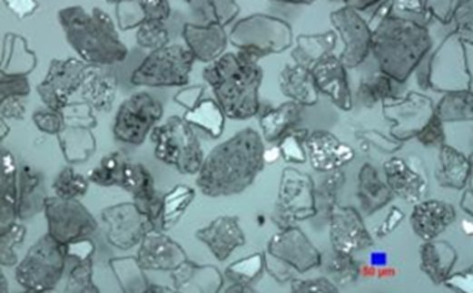 093233_693943_jswz.png 微信圖片_20240831092830.png