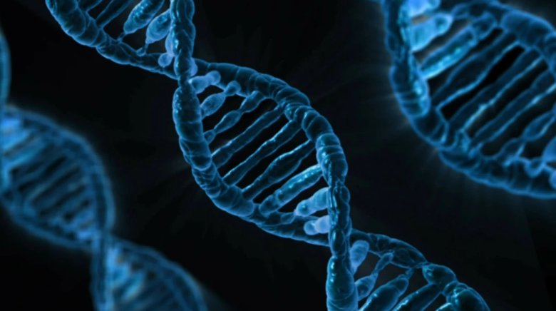 160554_430377_gsdt.png 160554_430377_gsdt.png