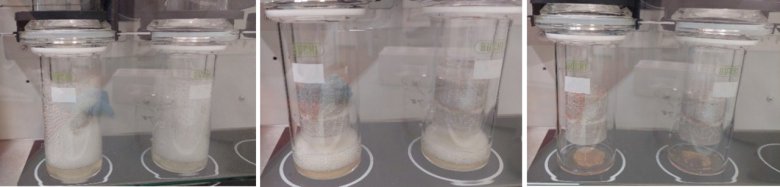 085752_636815_gsdt.png 5.png