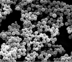 125040_125447_gsdt.png image.png