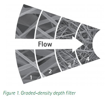 085806_237852_jswz.png 微信圖片_20241012085621.png