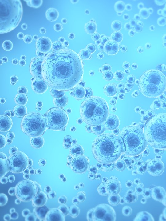 091946_358806_gsdt.png 2.png