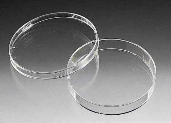 085642_170491_gsdt.png image.png