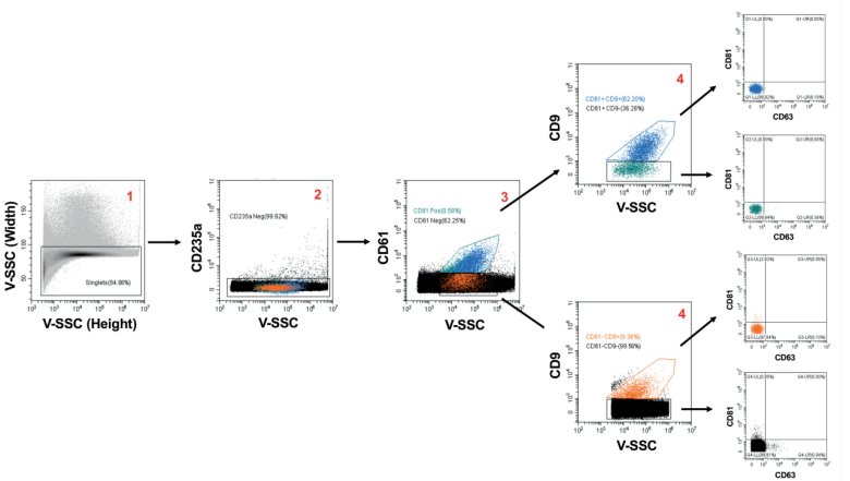 084622_285228_jswz.png 084622_285228_jswz.png