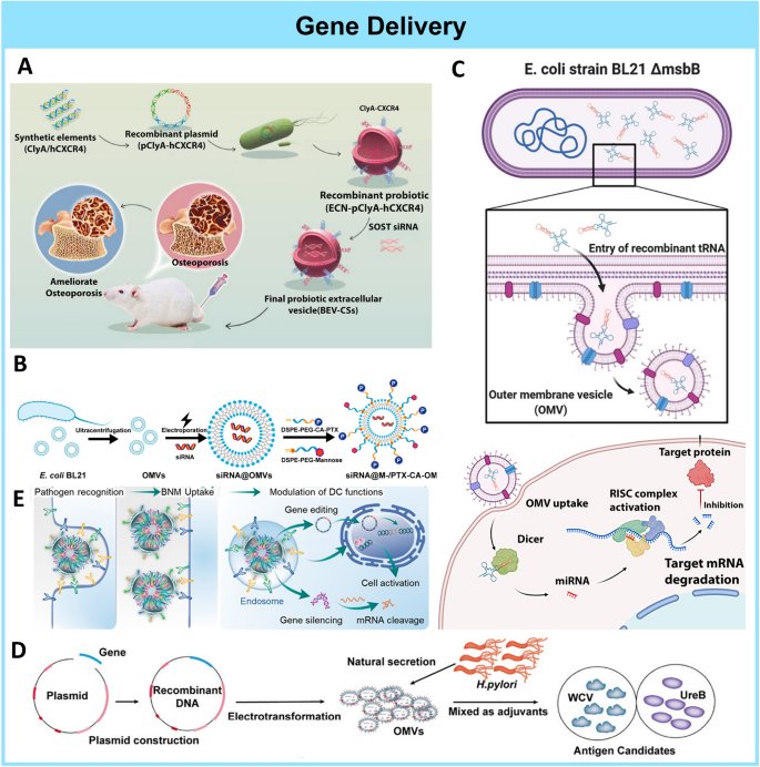 085929_685819_jswz.png 085929_685819_jswz.png