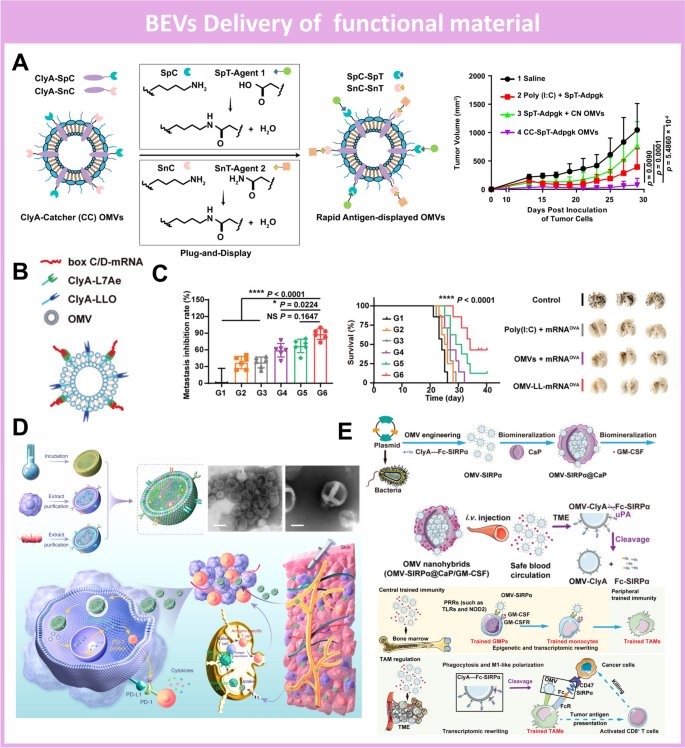 090241_084680_jswz.png 090241_084680_jswz.png