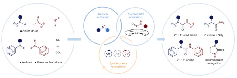 104128_357614_gsdt.png 104128_357614_gsdt.png