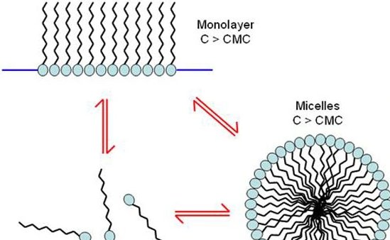 132742_461697_gsdt.png image.png