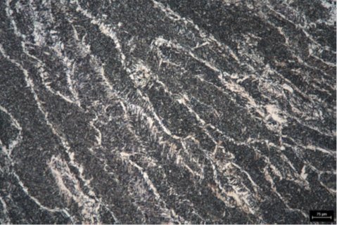 091540_881850_jswz.png 微信圖片_20241126090924.png