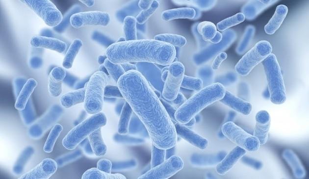 133919_499877_jswz.png 133919_499877_jswz.png