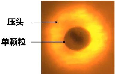 153213_182243_jswz.jpg 153213_182243_jswz.jpg