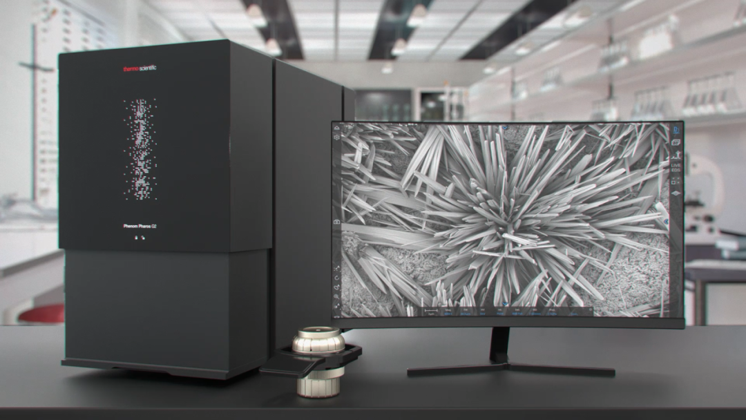 臺式場發射掃描電鏡