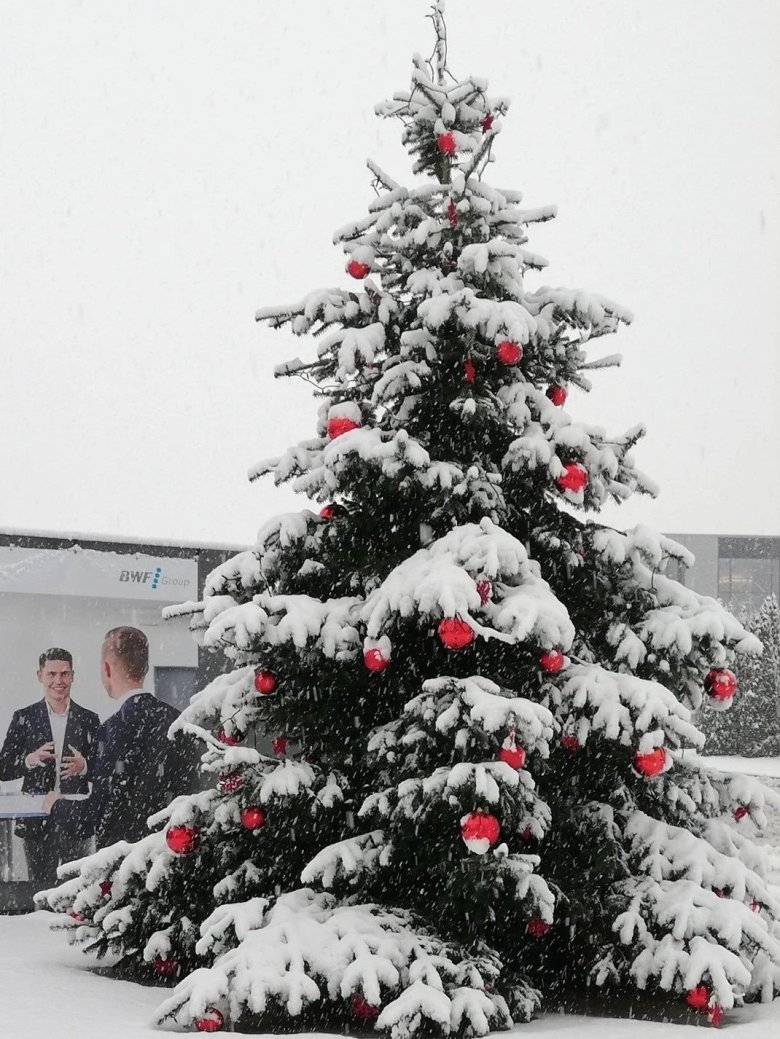 082418_593720_gsdt.jpg 082418_593720_gsdt.jpg