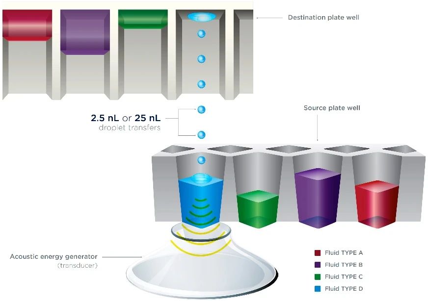 135609_597183_jswz.jpg 135609_597183_jswz.jpg