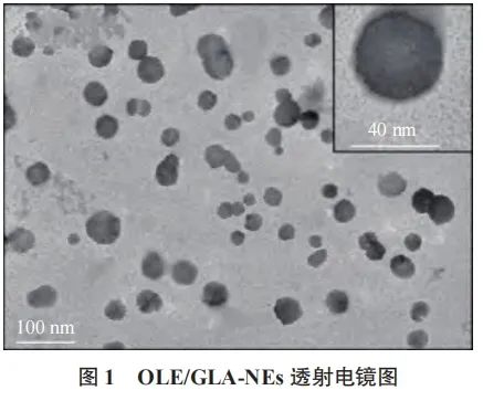 092045_553825_gsdt.jpg 092045_553825_gsdt.jpg