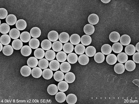 164803_491133_gsdt.png image.png