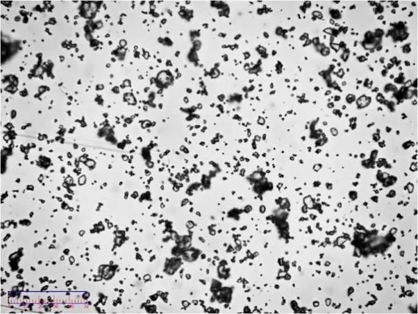 095354_491286_jswz.jpg 095354_491286_jswz.jpg