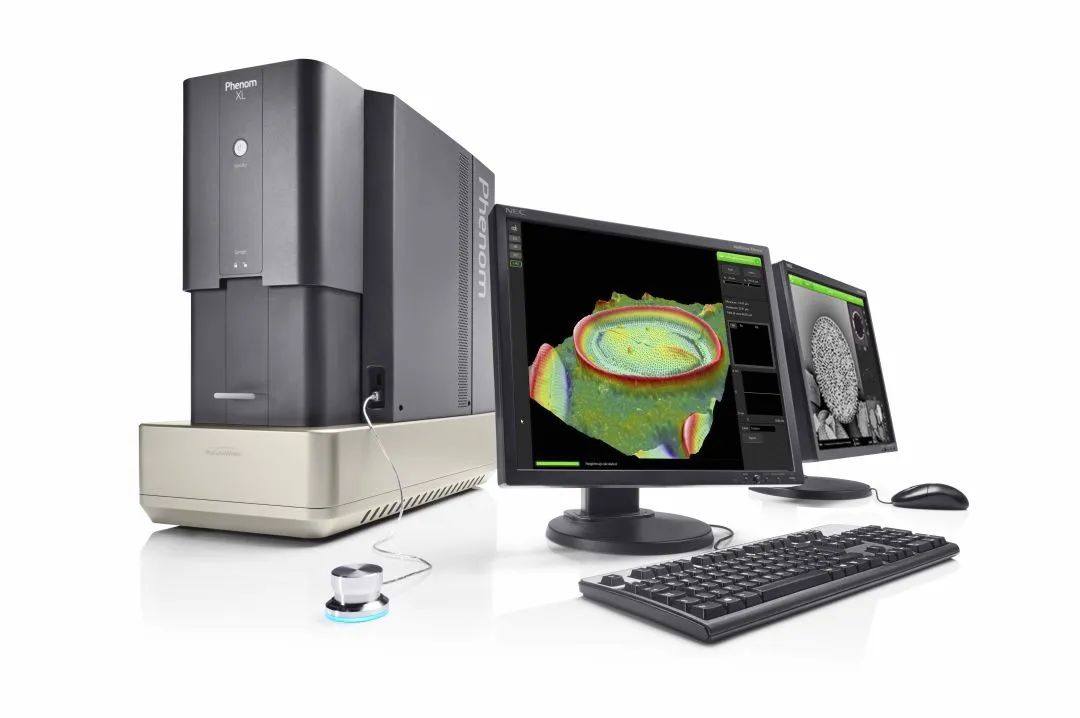 飛納臺式掃描電鏡大倉版